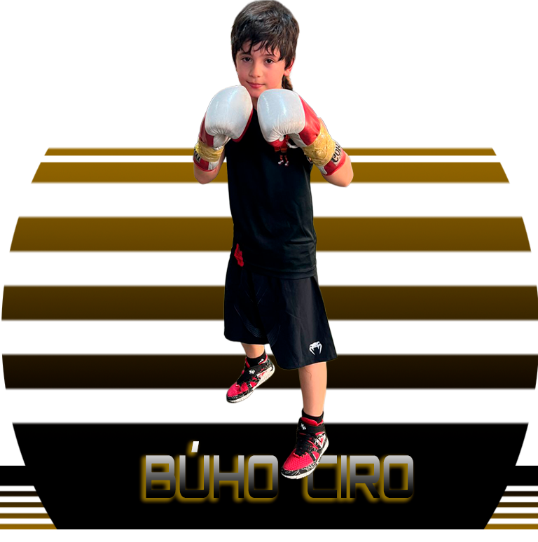 Búho Ciro